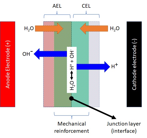 Bipolar Membranlar (BPM)